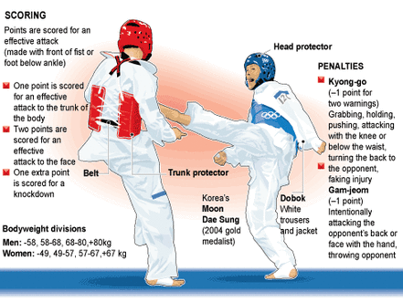 malicioso Kilimanjaro Multitud What is Taekwondo - Taekwondo and Energy Systems